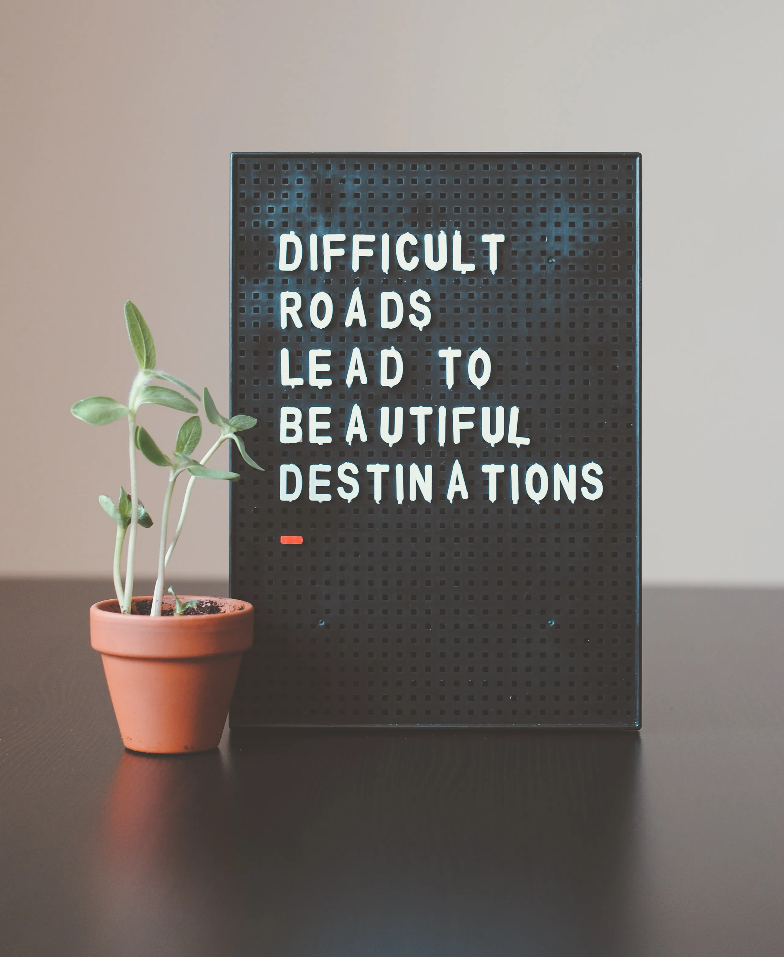 home page plant and quote photo difficult roads lead to beautiful destinations 